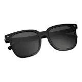 Z69150-T01 Obsidian Black[Polarized Driving Exclusive]
