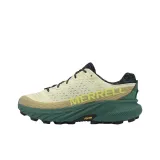 Beige Green