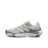 Silver Gray