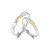 925 Sterling Silver-Eternal Love Couple Rings