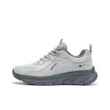Microchip Gray