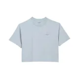 Gray Blue