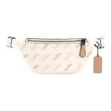 Bag+Dust Bag