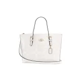 Bag+Dust Bag