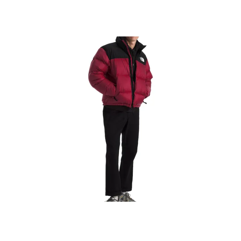 THE NORTH FACE 96 Retro Nuptse Jacket-1
