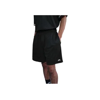Nike Sb Dri FIT Skate Shorts