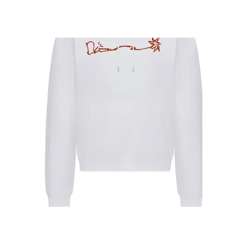 DIOR X Cactus Jack Oversized Hoodie-2