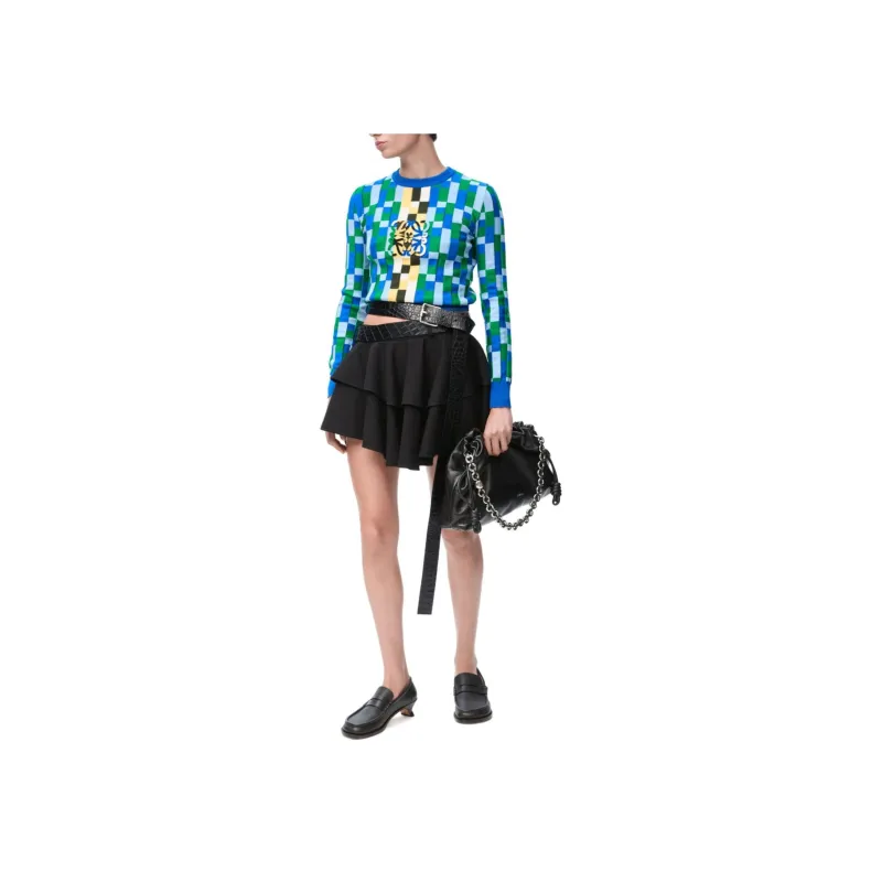 LOEWE SS25 Women's Pre Selection Collection Casual Short Skirts Women's Black-1