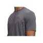 Rhinoceros Gray 025