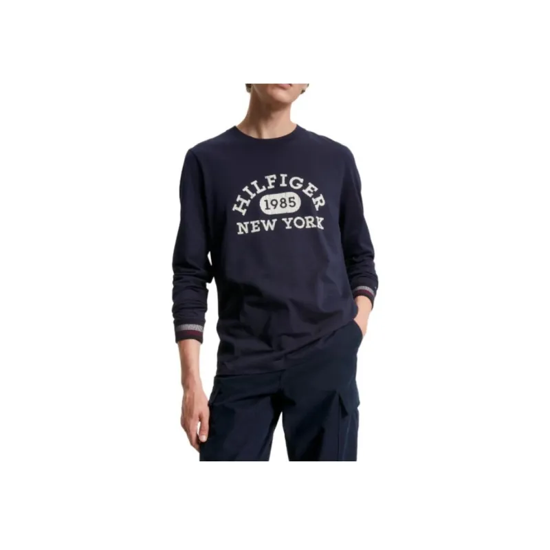 Tommy Hilfiger T Shirt Men's Blue-2