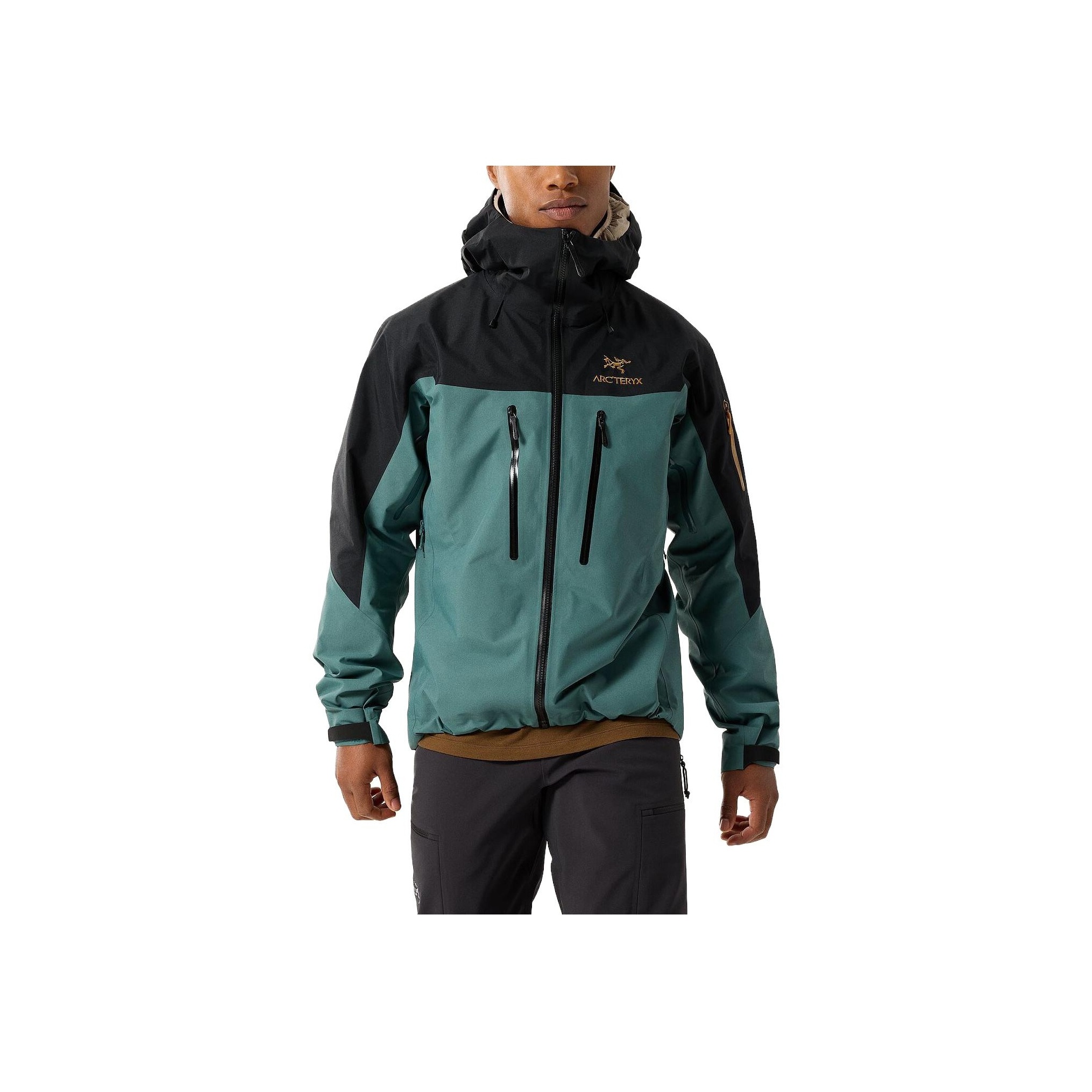 Arc'teryx Alpha SV Jacket - POIZON