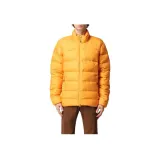 Yellow/Dark Radiant