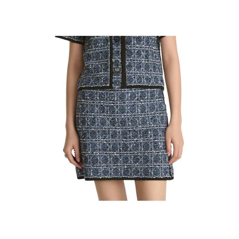 DIOR SS25 Casual Short Skirts Women's Blue White Mixed Color-3