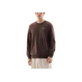 Chestnut Umber
