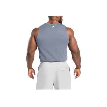 GYMSHARK FW24 T Shirt Men's Iron Blue