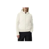 Cotton White