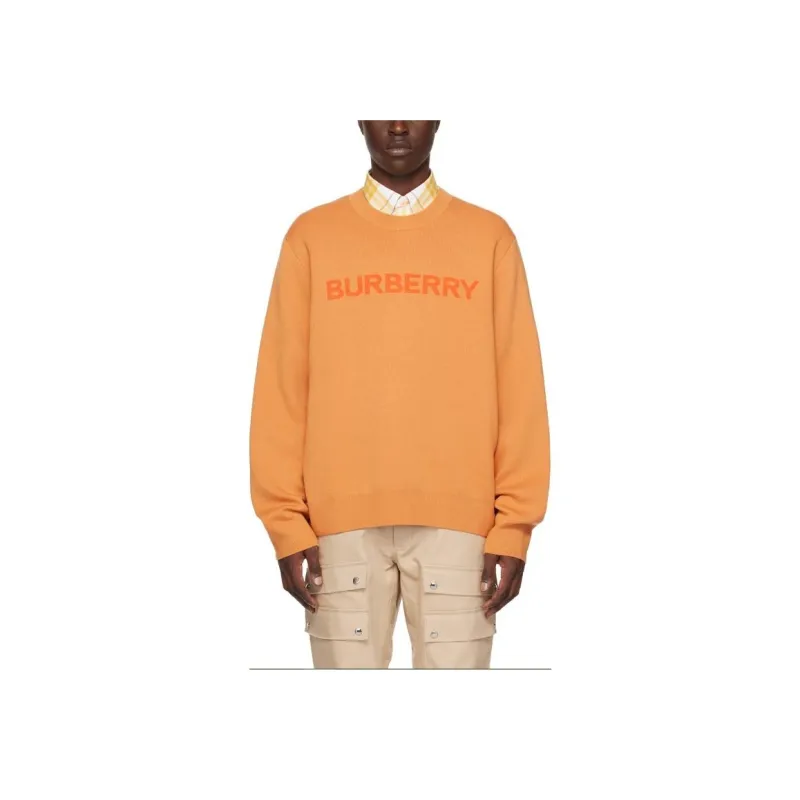 Burberry FW22 Sweater Men's Orange-1
