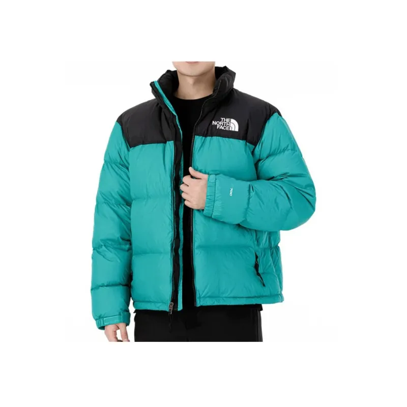 THE NORTH FACE Down Jacket Winter Men's Green-3