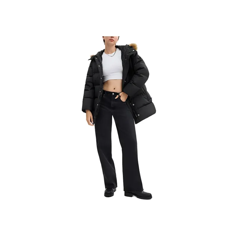 COACH FW24 Down Jacket Women's Black-1