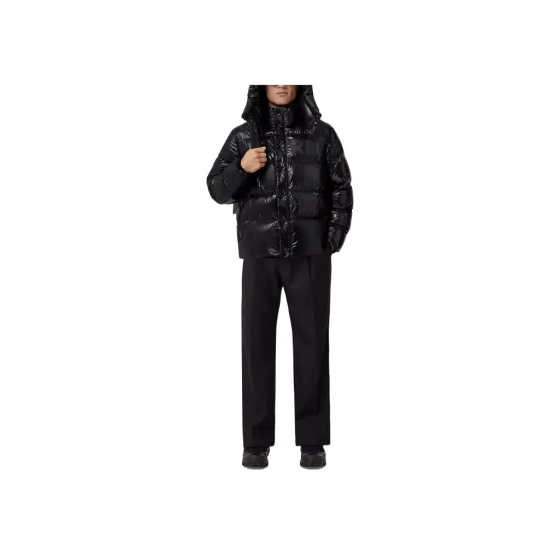 Burberry Detachable Hood Horseferry Print Puffer Jacket-1