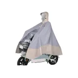 Gray Set without Mirror