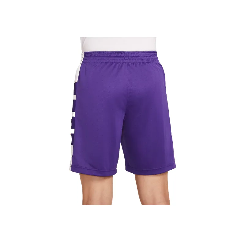Nike Dri Fit Sports Shorts Men's Team Purple-1
