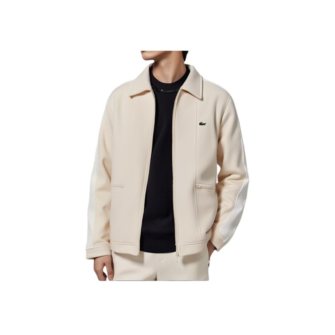 LACOSTE MA-1スタイルジャケット ベージュ FR 48 / US S セール】 バックステッチショートダウンジャケット （ダウン