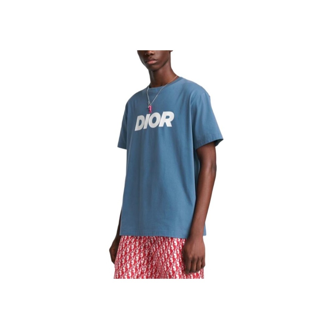 ディオール☆Tシャツ コットン リネン バタフライ ロゴ ビー 蜂