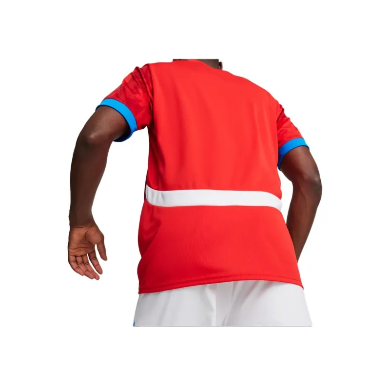 PUMA Czech Republic Football Soccer Jersey Men's Red Durable Red-2