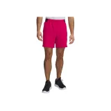 Fuchsia-681