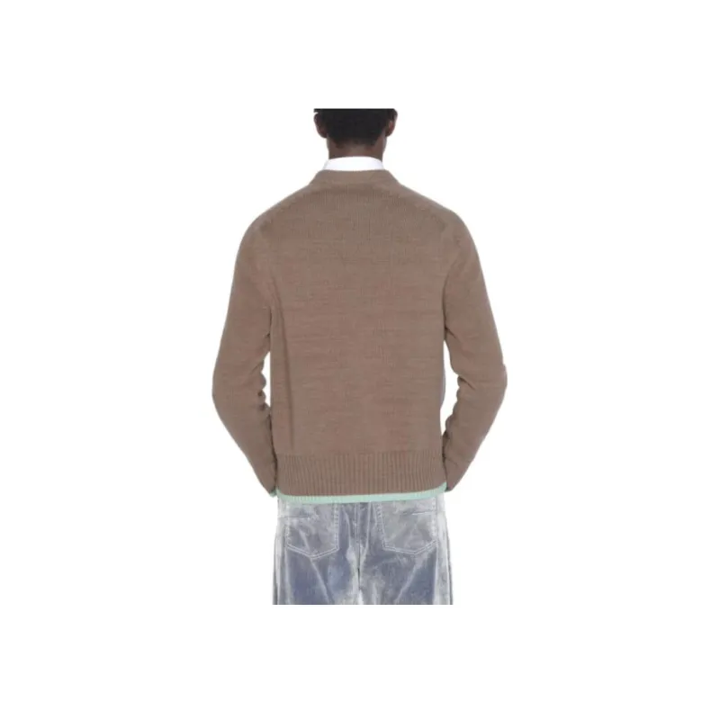 DIOR Quarterly New Products Sweaters Men Brown-3