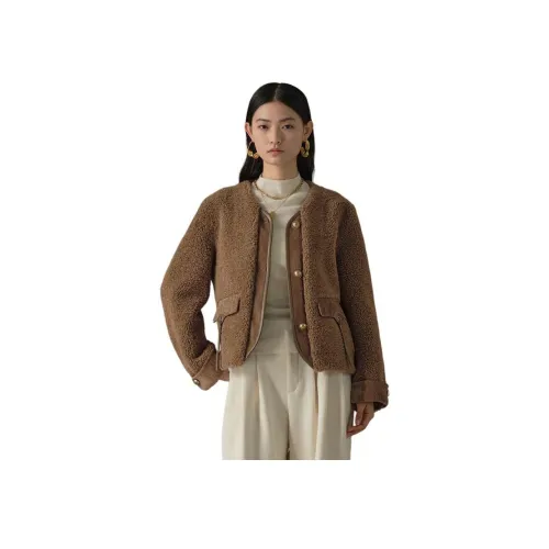 AYILIAN 마키아토 브라운 여성 벨벳 재킷