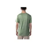 Ginkgo Green