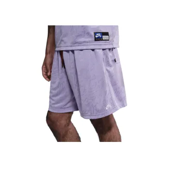 Nike Sb Dri FIT Skate Shorts