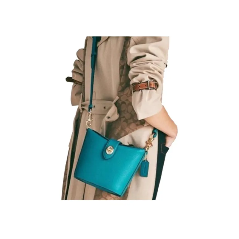 COACH Addie Leather Box Bag French Fries Bag Shoulder Bag Crossbody Bag Regular Women's Sapphire Green-5