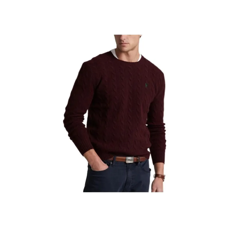 Polo Ralph Lauren FW22 Knitwear Men's Red Brown-3