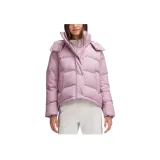 Purple/Rose Red/RSBL/CYRV