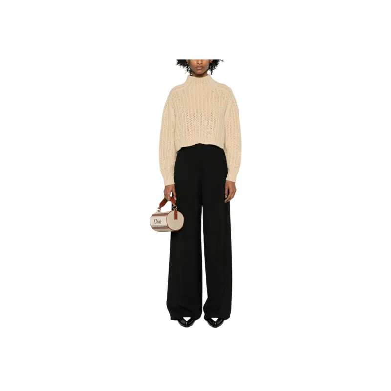 MaxMara Hodeida High Neck Cropped Cardigan-2