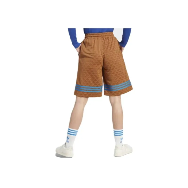 Adidas Originals Adicolor 70s Bb Monogram Shorts-3