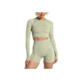 Light Sage Green Mudstone Gray
