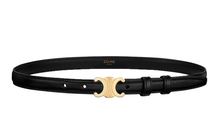 CELINE TRIOMPHE Triumph Gate Small Size Smooth Buckle Cow Leather 