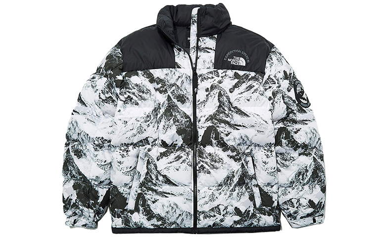 North face outlet expedition system jacket