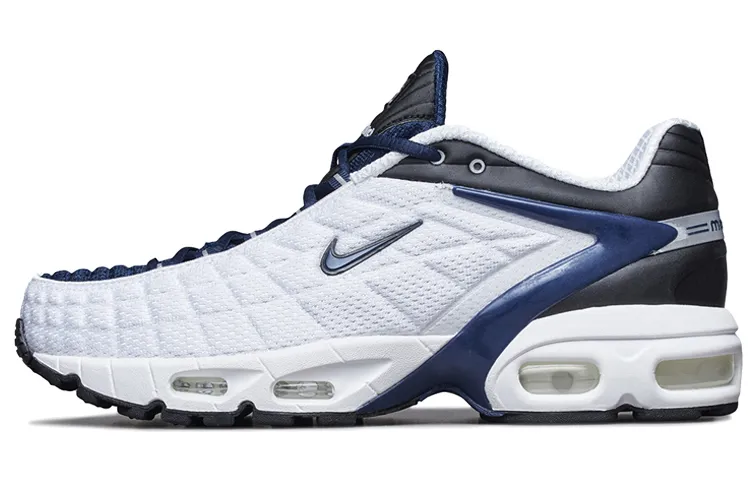 tailwind navy