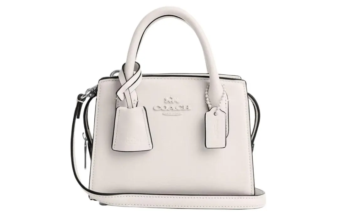COACH Women's Carryall Handbag Basic Set (Bag and Dust Bag)