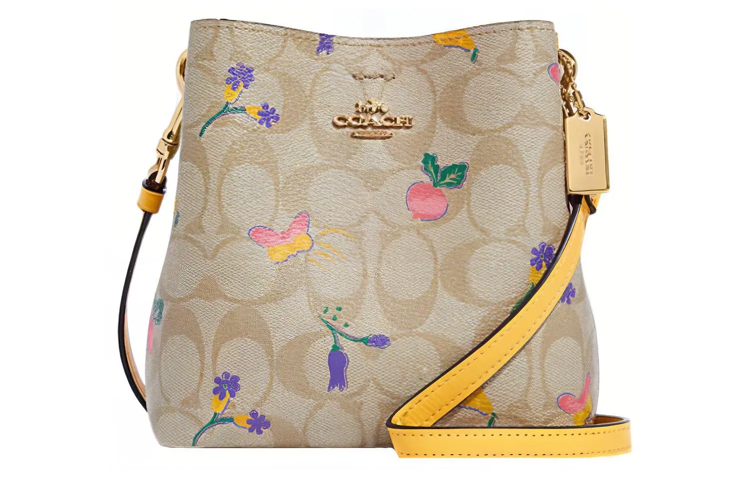 COACH Town Crossbody Bag Basic Set (Bag and Dust Bag)