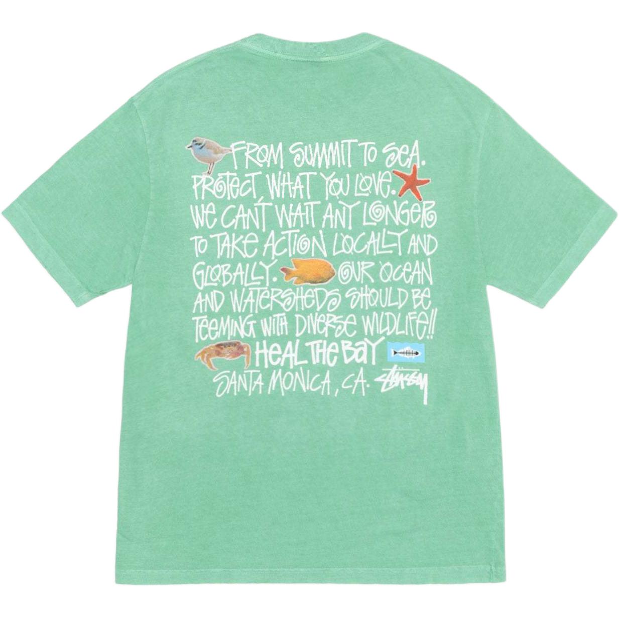 Stussy Heal The Bay Pigment Dyed Summit to Sea Tee - POIZON