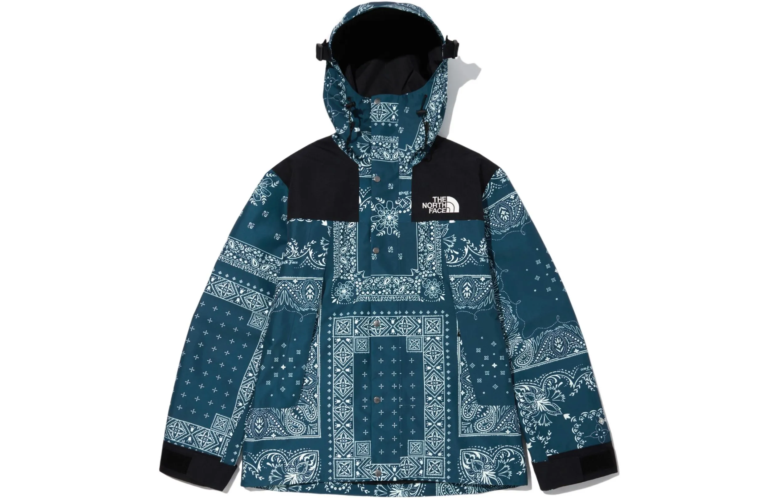 THE NORTH FACE Novelty Gtx Paisley Mountain Jacket - POIZON