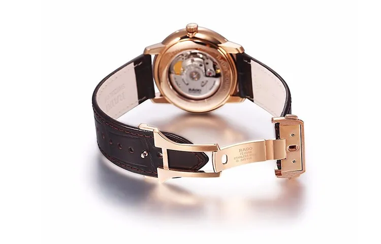 RADO Men Crystal Sparkle Collection Watch-1