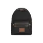 Bag+Dust Bag