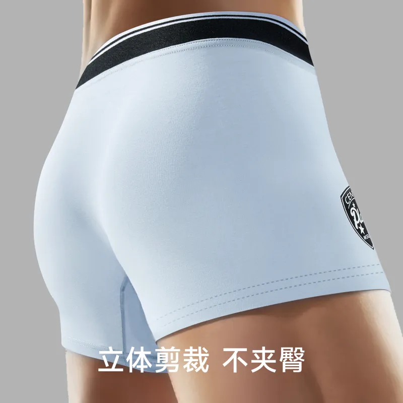 PLAN IN Underpants Men's 1 Pack-3